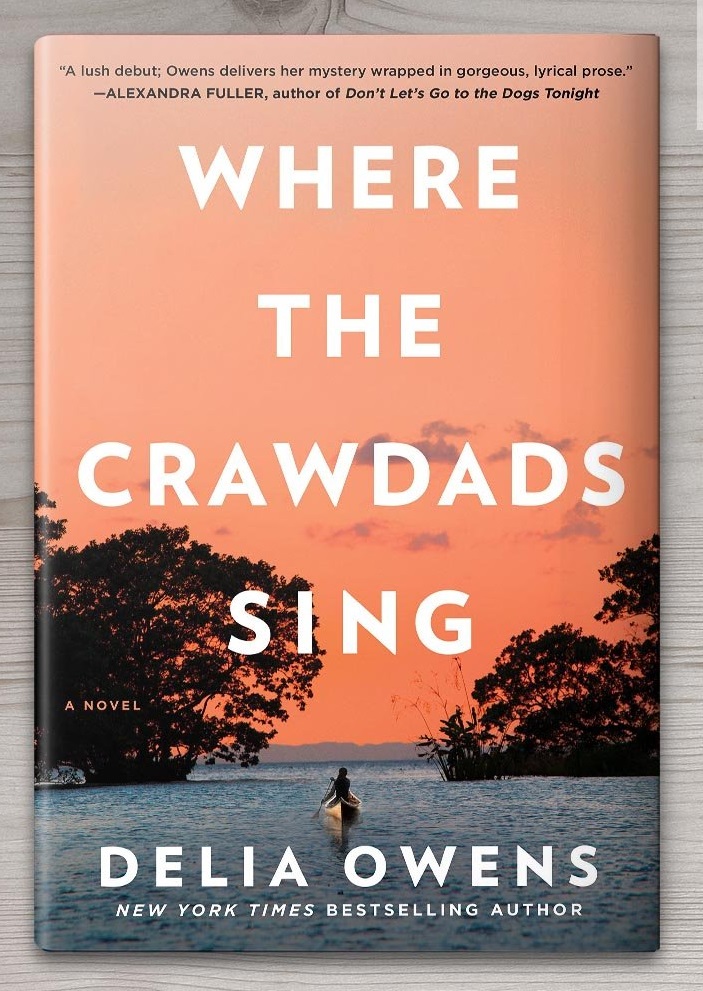 ZOOM Book Chat Where the Crawdads Sing by Delia Owens Grayslake