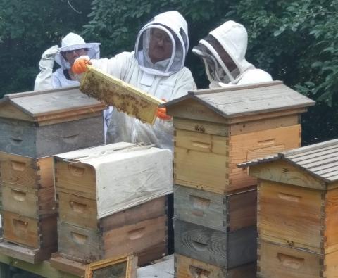 Beekeeping 101