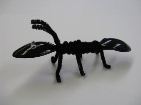 Ant 