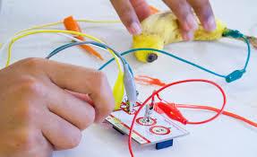 Makey Makey image